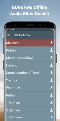 Audio Bible Swahili offline android App screenshot 5